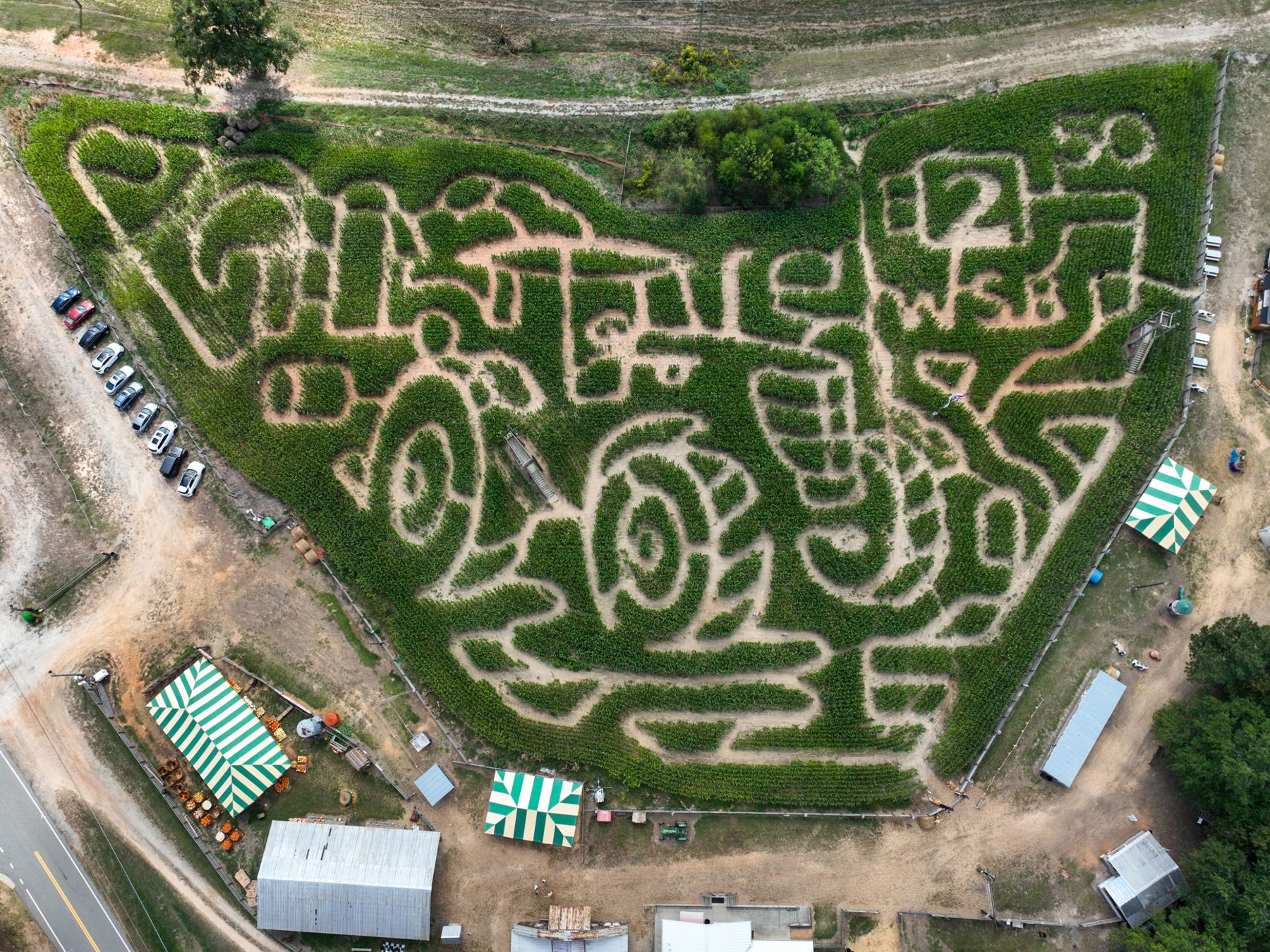 Top-down aerial of the Buford Corn Maze design